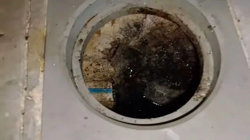 Round drain opening set in a concrete slab with dark water standing inside.