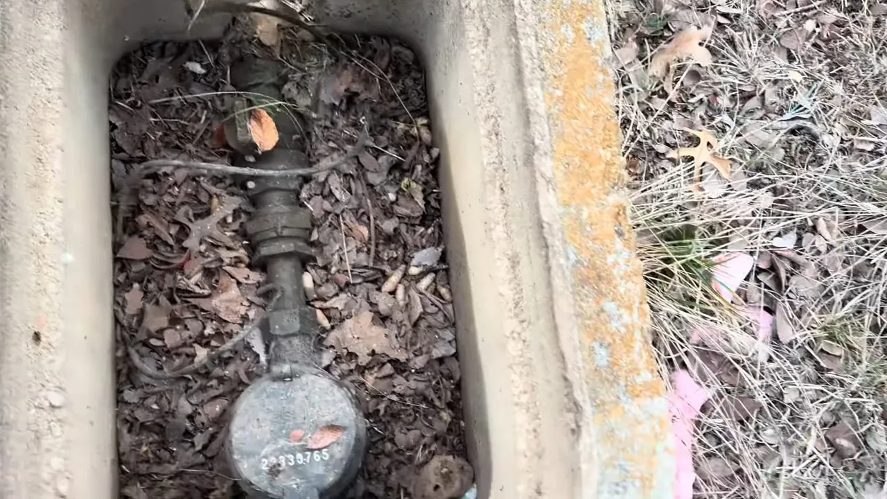 Water meter and pipe inside a concrete ground box packed with dry leaves.