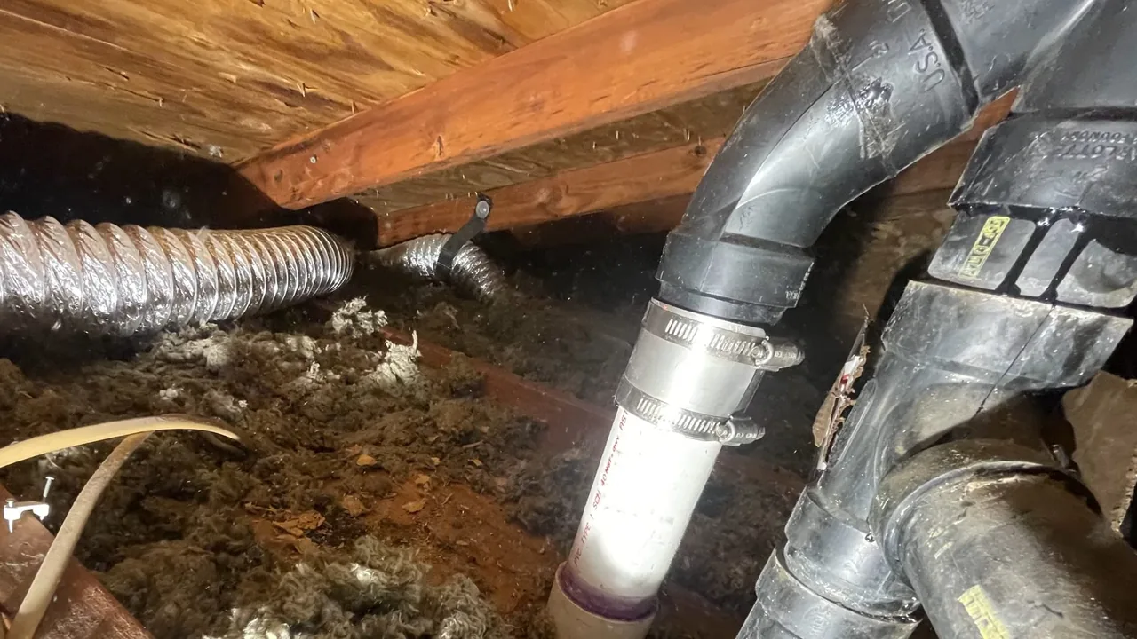 Crawlspace view of a white pipe clamped to a black drain bend beneath floor joists, with flexible duct and loose insulation beside it.